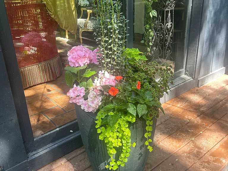 Gardener included