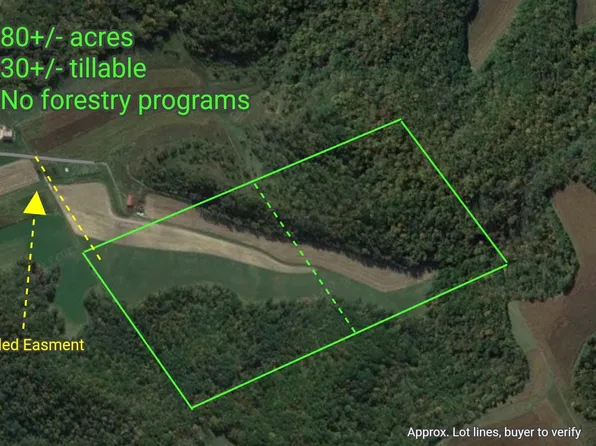 80/ACRE S Mellen Ln, Richland Center, WI 53581