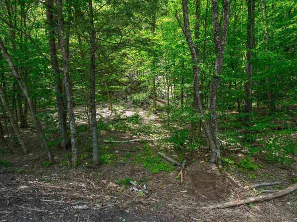 0 Route 100 N, Plymouth, VT 05056