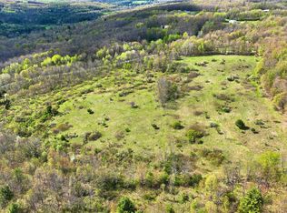 126 Sisson Hill Rd #32, Unadilla, NY 13849