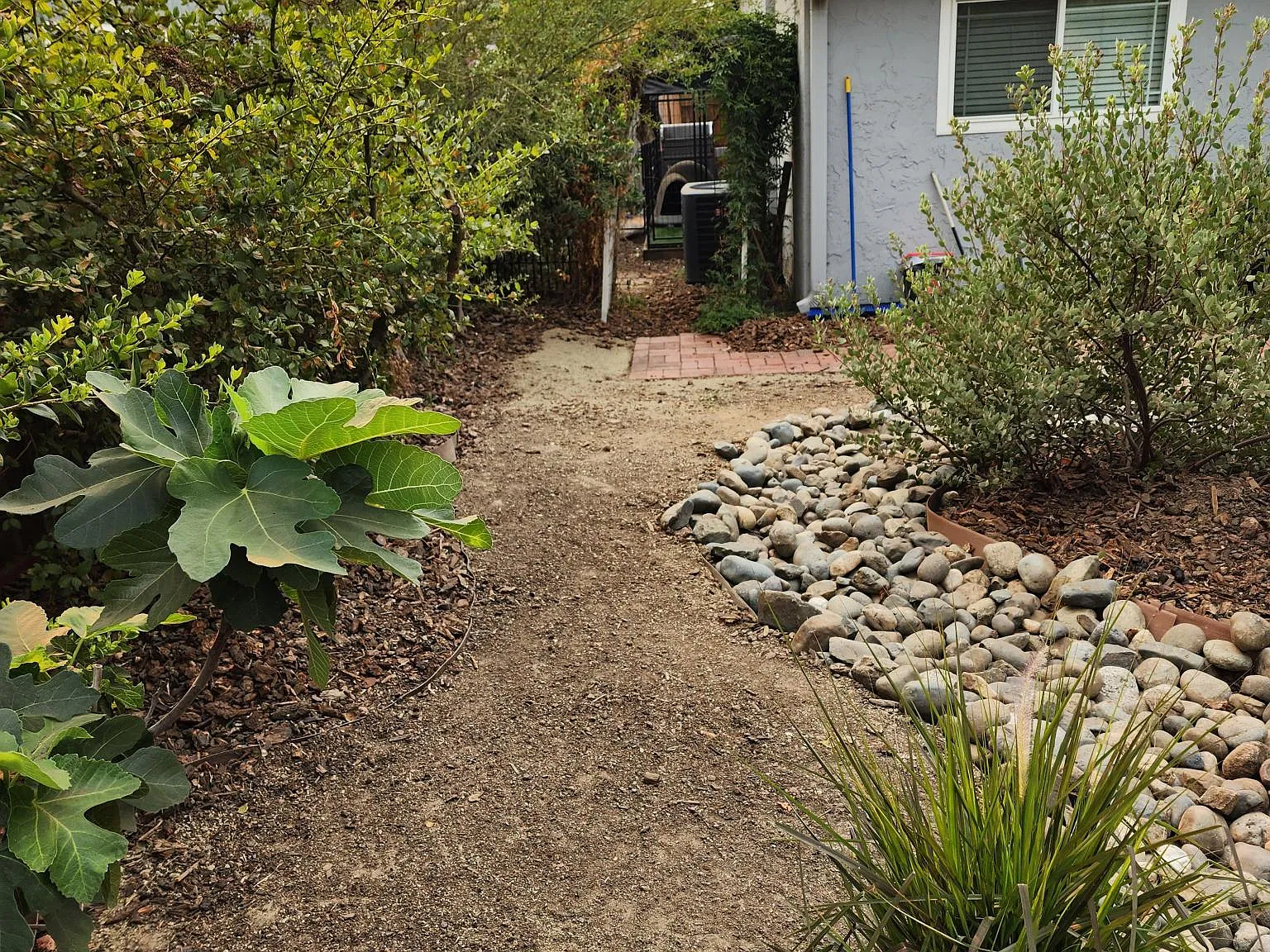 8129 Forest Oak Way — Photo 4