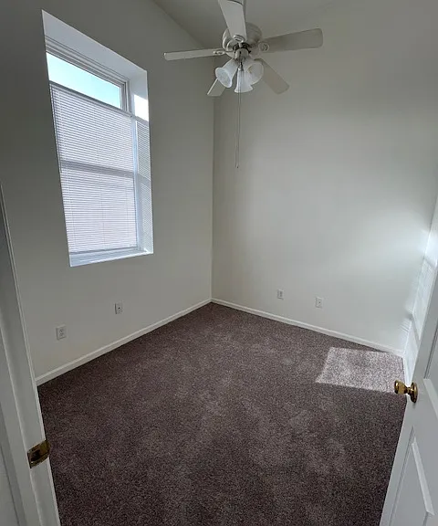113 N Harrison St #6 — Photo 12