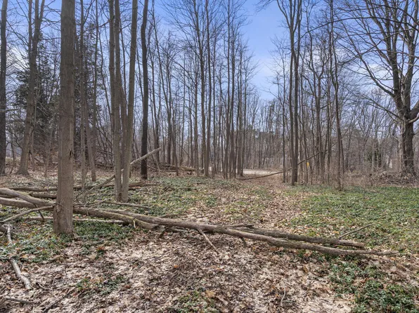 64 Saint, Holland, MI 49423