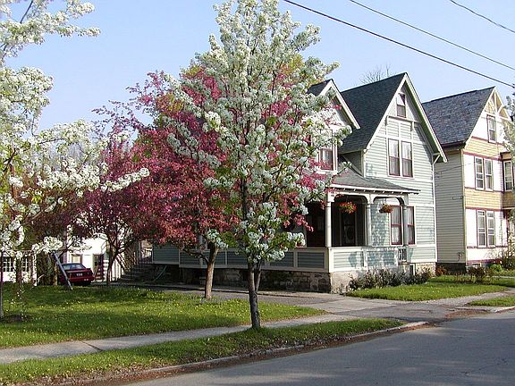 1025 Gillespie St.