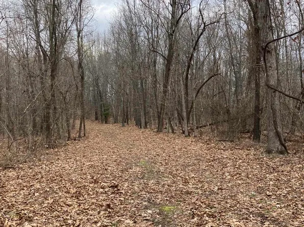 001-01056-000 Longway Dr, Yellville, AR 72687