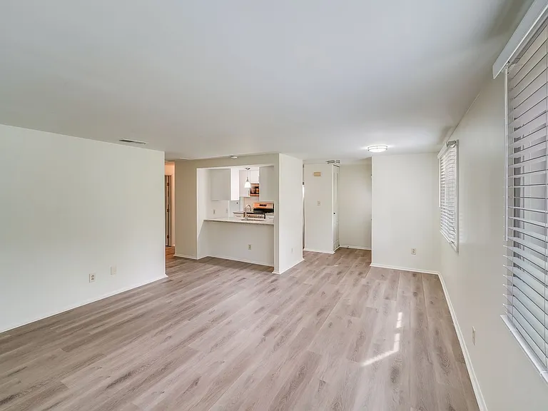 5001 Forest Mountain Ct — Photo 8