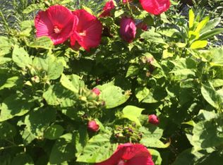 9100 Margrove Ct, Owings, MD 20736