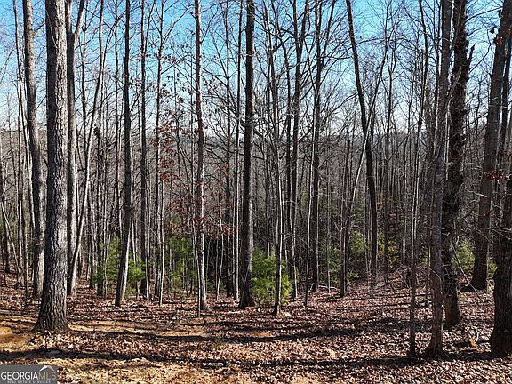 LOT 29-28B Left Turn, Blue Ridge, GA 30513 | MLS #10252613 | Zillow