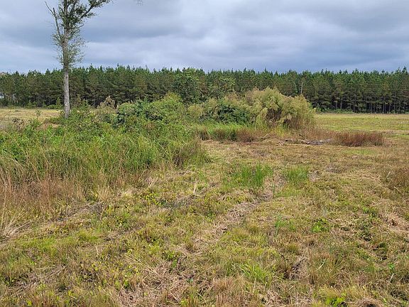 4th image of 88 Rogers Break Rd