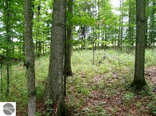 Golden Rd, Kalkaska, MI 49646