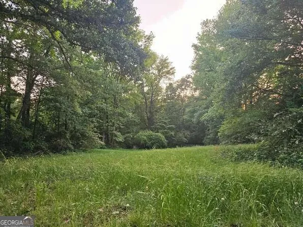 0 Huff Rd Tract 2, Roopville, GA 30170