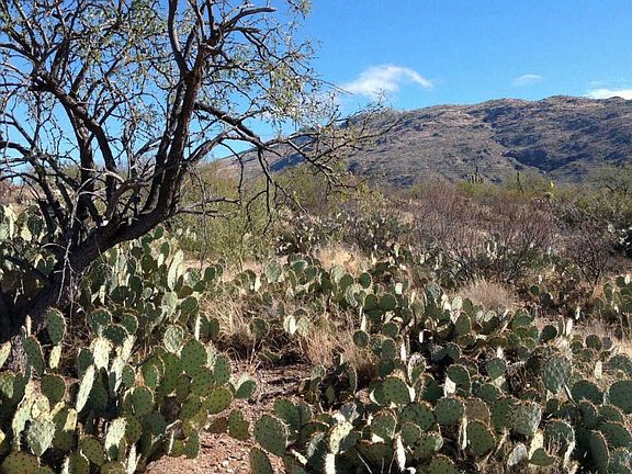 2nd image of 4245 S Saguaro Monument Pl