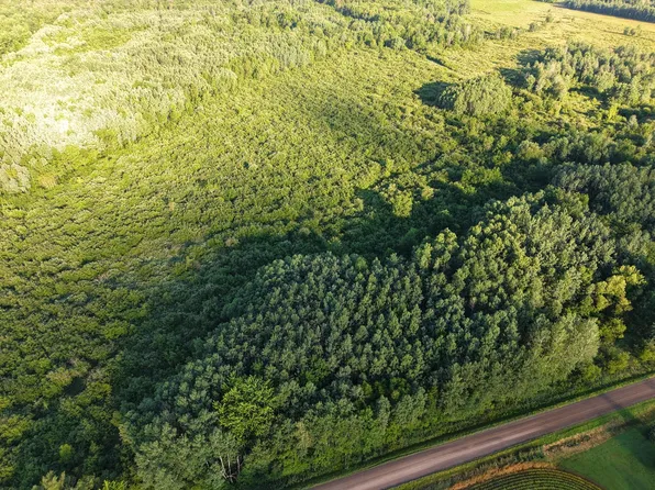 0 Oak Dr, Curtiss, WI 54422