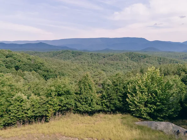 0 Sugar Tree Hollow Rd, Eagle Rock, VA 24085