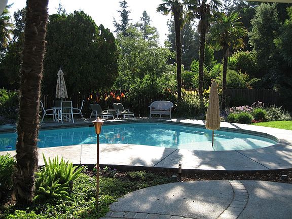 Backyard View