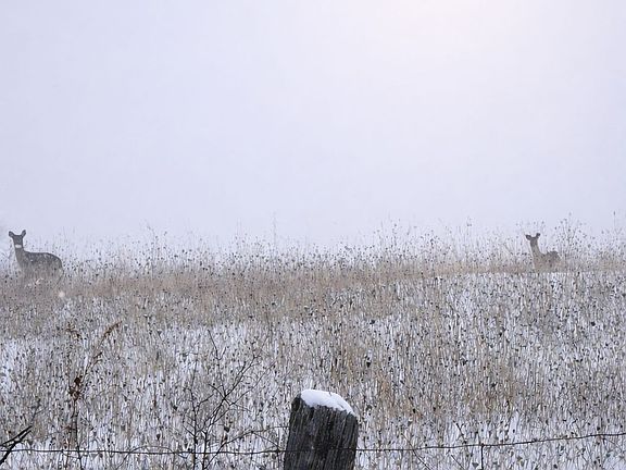 3rd image of 0 Germanicus Rd