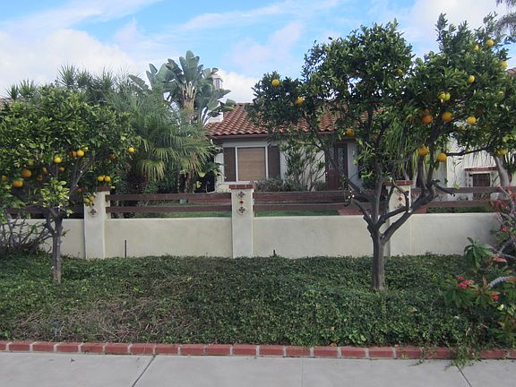 Fruit Trees Line Stucco Wall