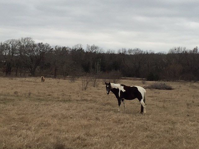 1st image of 710 County Road 232