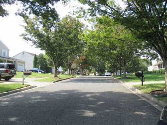 Exterior Neighborhood (street photo)