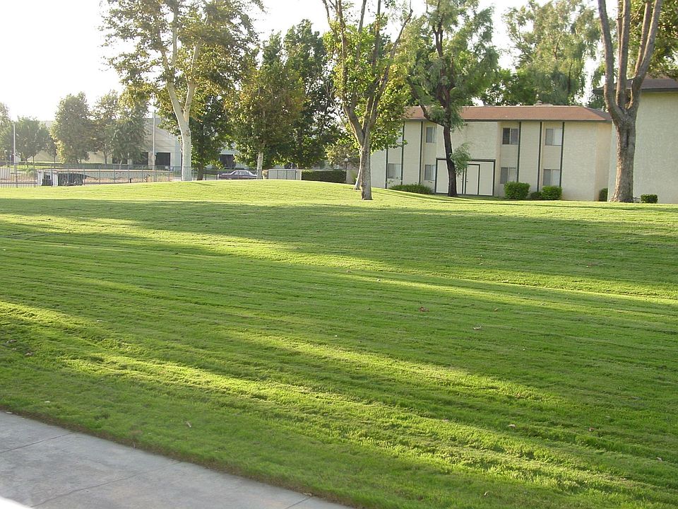 View from Patio