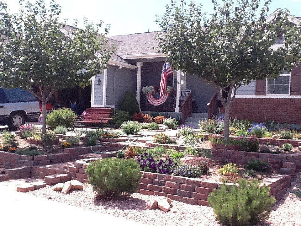 Front Yard - All xeriscaped