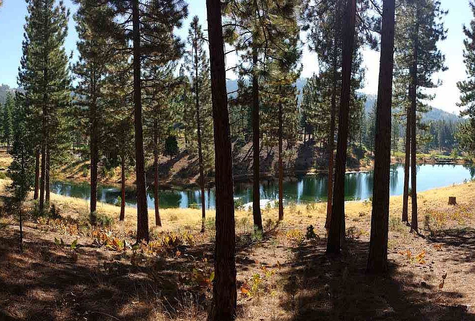 1st image of 244 Blacktail Rdg