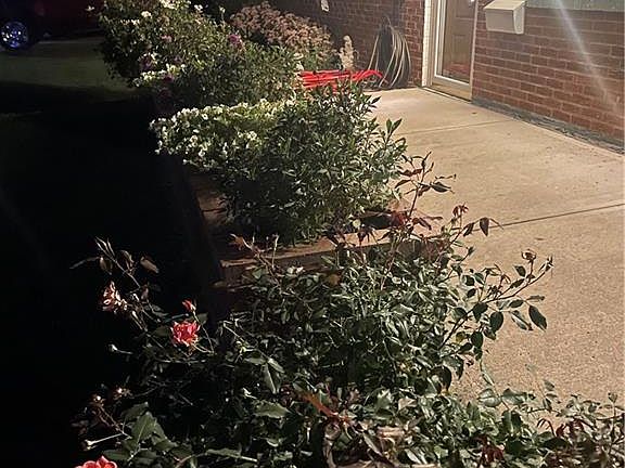 4th image of 5831 Resik Dr
