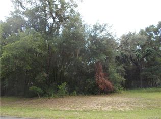 3378 N Chandler Dr, Hernando, FL 34442