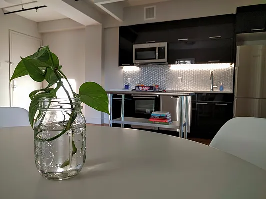 Rented by Manhattan Management LLC | media 45