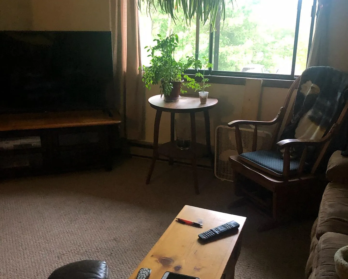 2 bed, 750 sqft, $750 — Photo 4