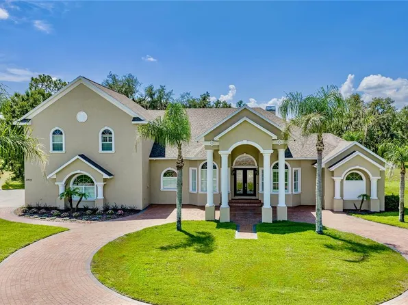 11518 Hammock Oaks Ct, Lithia, FL 33547