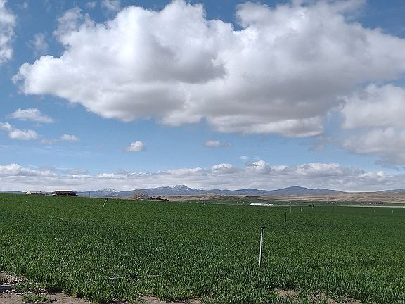 View out back of RV Park