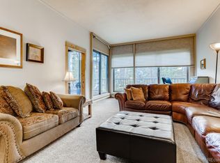 21680 Us Highway 6 #2046, Dillon, CO 80435