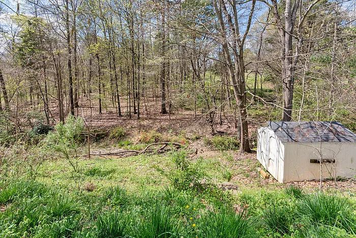 3601 Straussburg Woods Ln — Photo 9