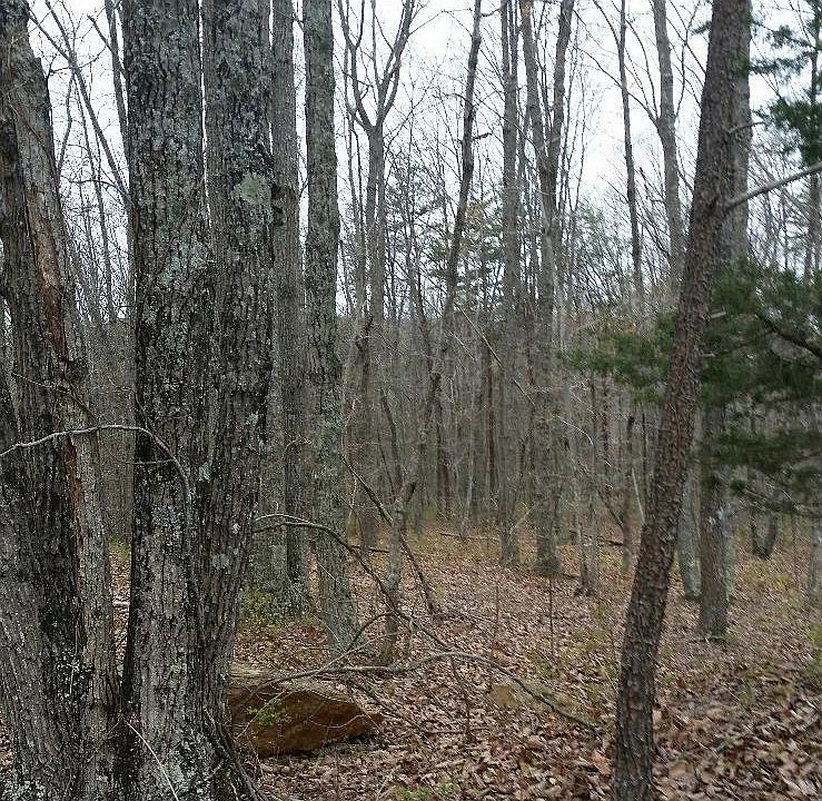 1st image of 0 Meadow Dr