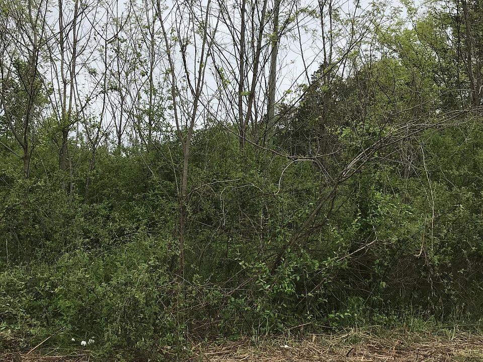 2nd image of 0 Dunsmore Ln Lot 2-R-1