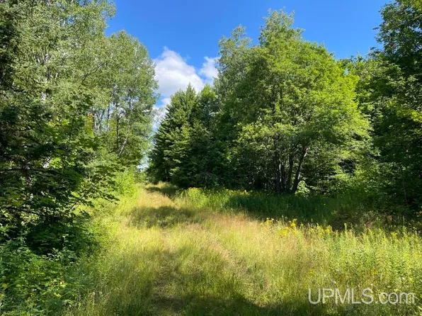 Highway M38 Highway Just After 1501 Hwy #M38, Mass City, MI 49948