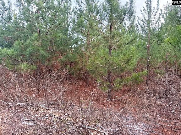 2nd image of Qbf 9 Quattlebaum Rd #Qbf-9