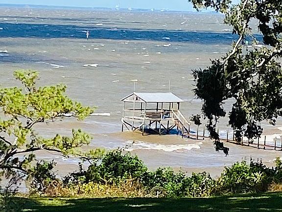 View from yard