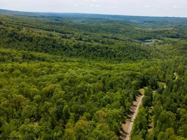 LOT 1 Laurel Mountain Rd, Belington, WV 26250