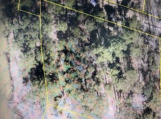 1602 Deep Cove Ln, Gilbert, SC 29054