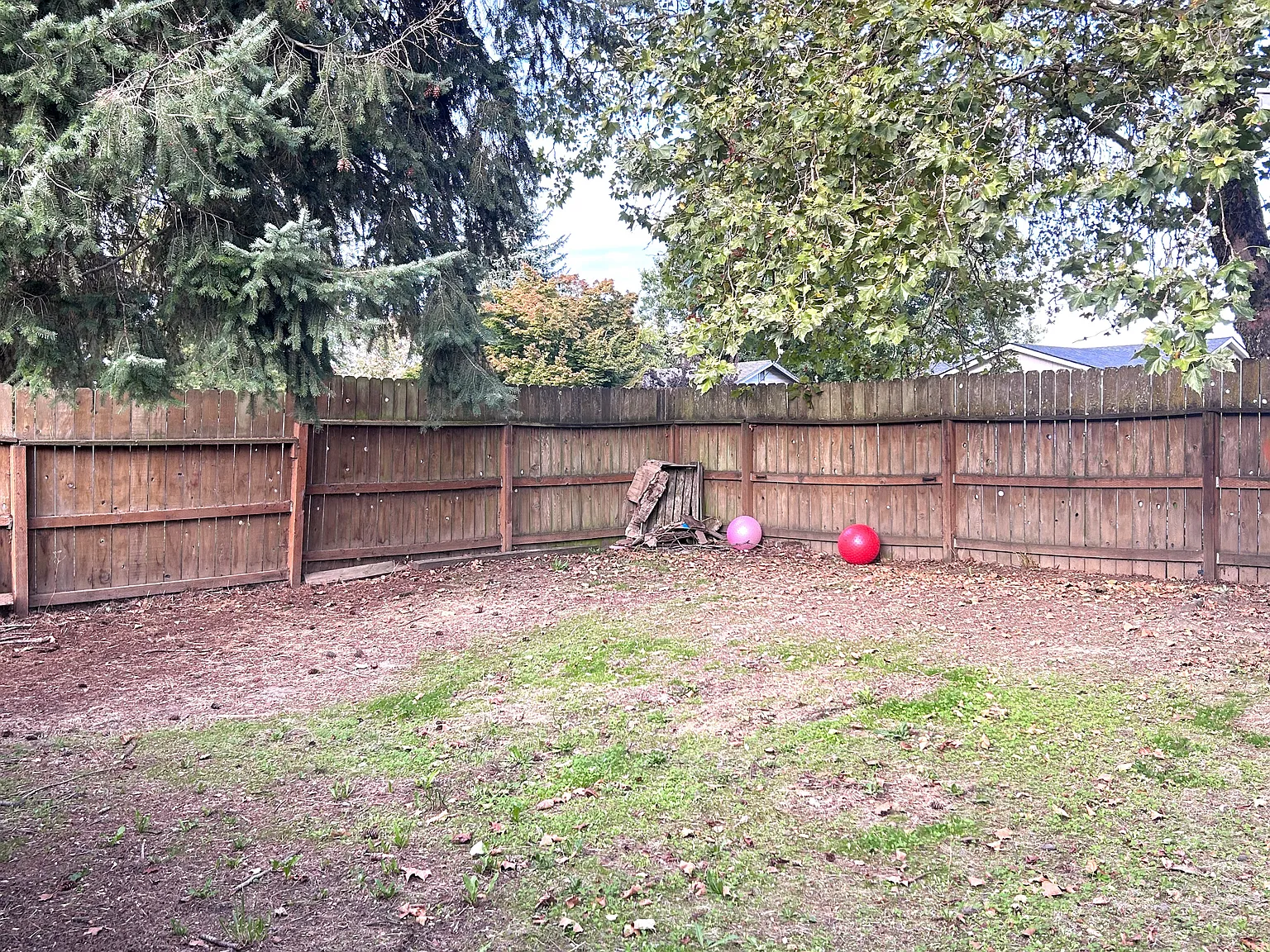 2 bed, 928 sqft, $1,550 — Photo 4