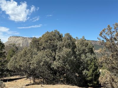 Juniper Ln, Los Ojos, NM, 87551