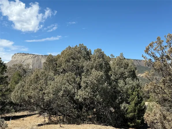 Juniper Ln, Los Ojos, NM 87551