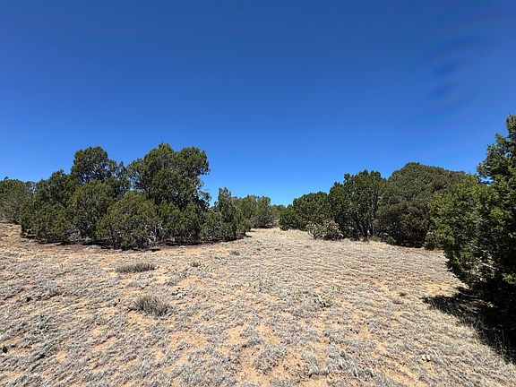 4th image of Rio Cucharas #2-401