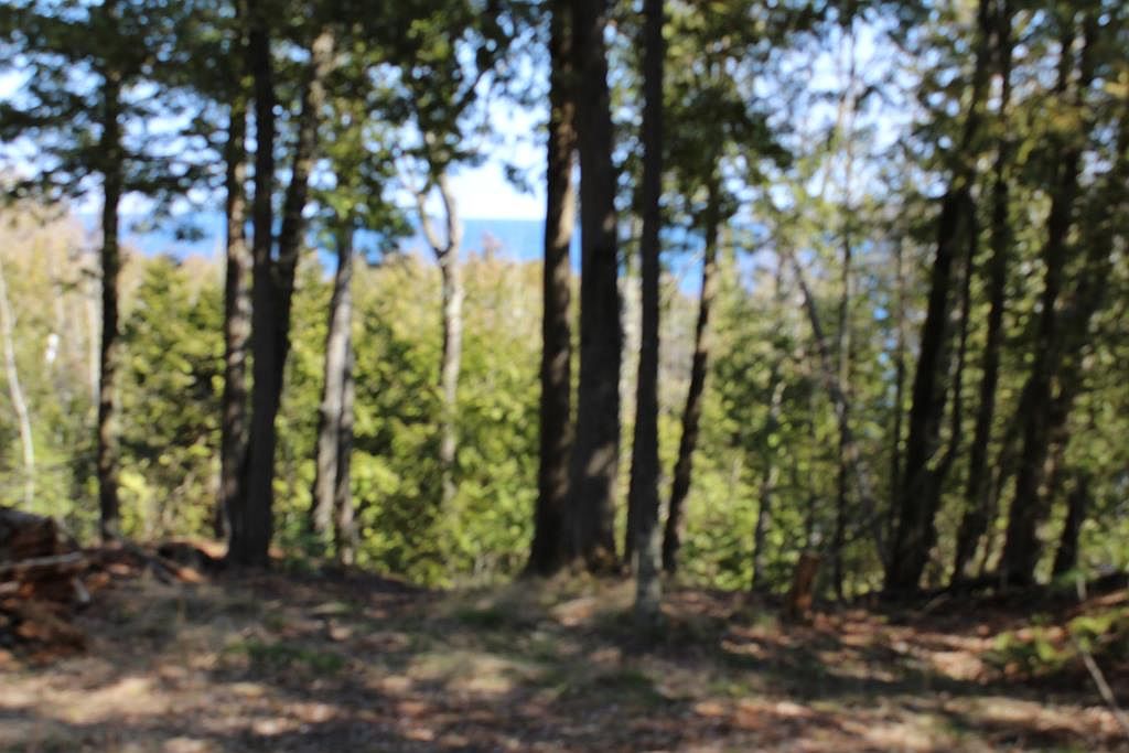 1778 Hillside Dr, Ellison Bay, WI 54210 Zillow