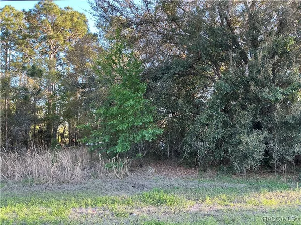 2892 W Eunice Dr, Citrus Springs, FL 34433