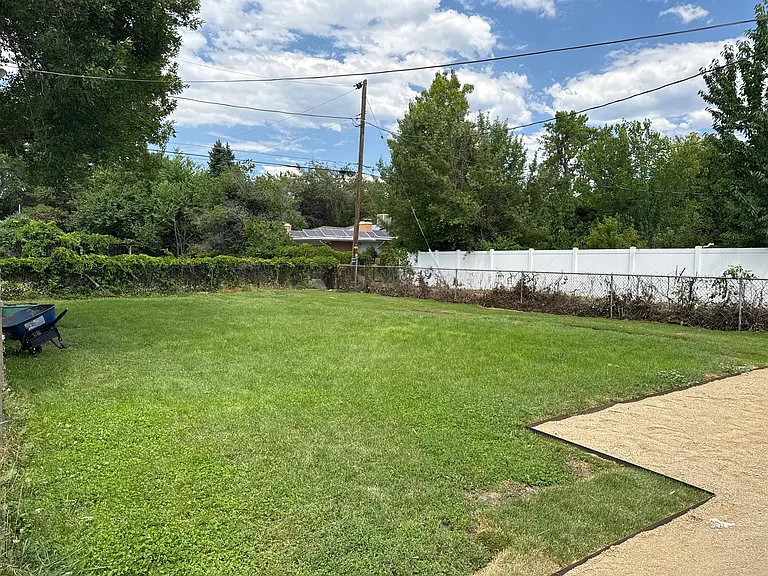 Backyard "fenced"