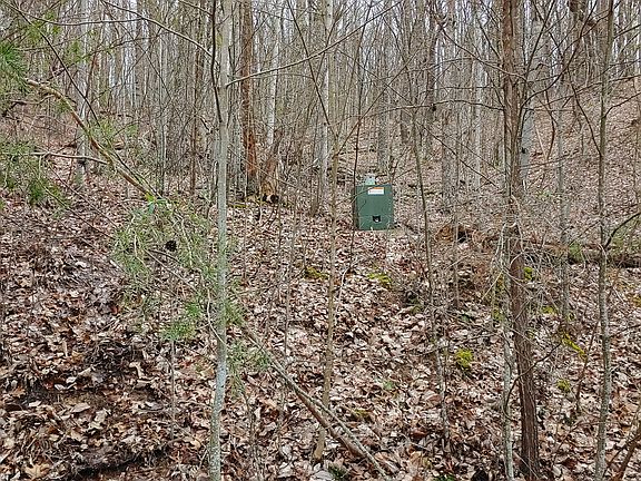 3rd image of 56 Milnor Ter