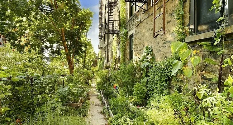 Sold by Engel and Völkers Brownstone Brooklyn | media 18